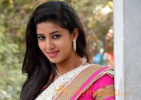 Pavani Saree Stills photo 4