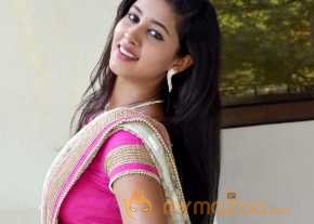 Pavani Saree Stills photo 2