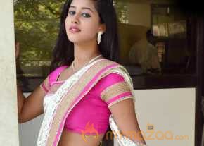 Pavani Saree Stills photo 6