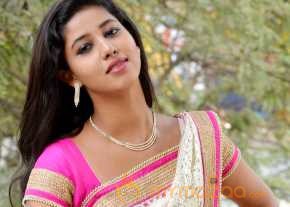 Pavani Saree Stills photo 12