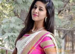 Pavani Saree Stills photo 18