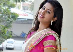 Pavani Saree Stills photo 10