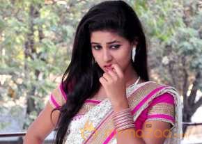 Pavani Saree Stills photo 13