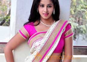 Pavani Saree Stills photo 7
