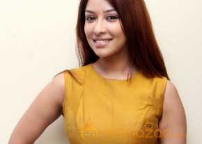 Payal Ghosh Glamorous Pics photo 5