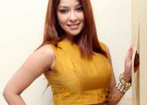 Payal Ghosh Glamorous Pics photo 8
