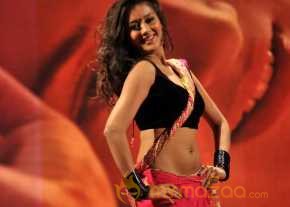  Pooja Jhaveri Special Song Stills  photo 3