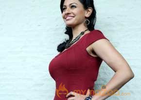 Pooja Kumar Uttama Villain Press Meet Pics photo 2
