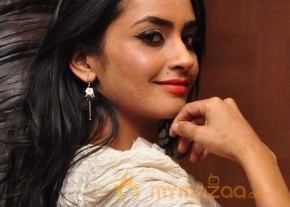 Pooja Sree one more Hot Photoshow photo 31