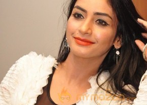 Pooja Sree one more Hot Photoshow photo 9