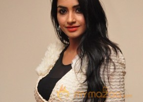 Pooja Sree one more Hot Photoshow photo 22