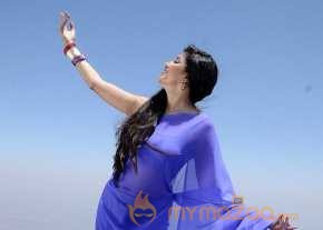 Poonam Kaur Beautiful Saree Stills photo 3