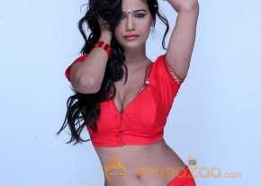  Poonam Pandey  photo 8