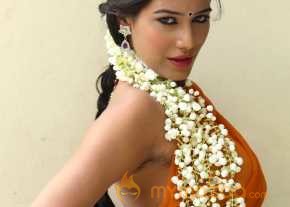  Poonam Pandey  photo 5