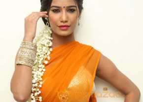  Poonam Pandey  photo 15