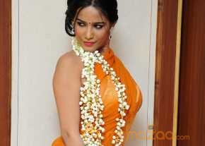  Poonam Pandey  photo 10