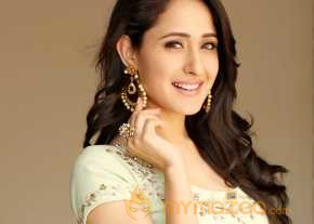 Pragya Jaiswal Photoshoot AT Kanche Movie Interview photo 15