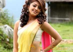  Pranitha Subhash Exclusive Saree Pics  photo 6