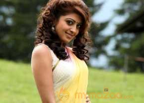  Pranitha Subhash Exclusive Saree Pics  photo 8
