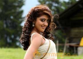 Pranitha Subhash Exclusive Saree Pics
