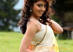  Pranitha Subhash Exclusive Saree Pics  photo 4