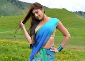  Pranitha Subhash Exclusive Saree Pics  photo 3