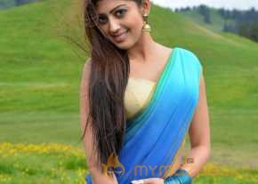  Pranitha Subhash Exclusive Saree Pics  photo 7