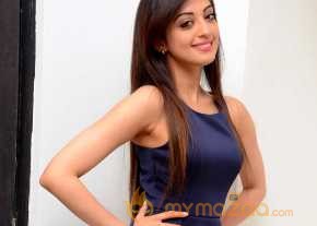 Pranitha Subhash Photoshoot At Dynamite Movie Interview photo 9