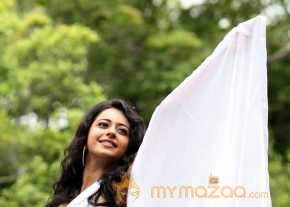  Rakul Preet Singh  photo 16