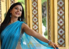 Rakul Preet Singh Hot Sarees Pics photo 5