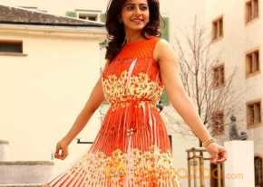 Rakul Preet Singh Kick 2 Movie Stills photo 2