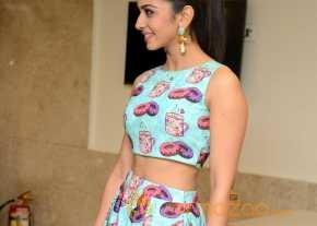  Rakul Preet Singh Pandaga Chesko Success Meet Pics  photo 6