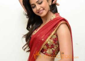 Rakul Preet Singh Red Saree Pics photo 3