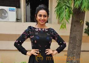 Rakul Preet Singh Stills At Sarainodu Movie Release Press Meet photo 9