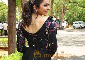 Rakul Preet Singh Stills At Sarainodu Movie Release Press Meet photo 11