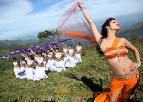 Richa Panai Latest Stills