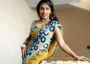 Risha Saree Stills photo 5