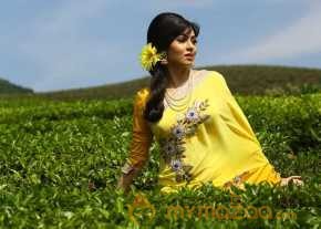 Sadha Beautiful Saree Pics photo 3