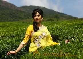 Sadha Beautiful Saree Pics photo 6