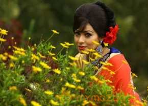 Sadha Beautiful Saree Pics