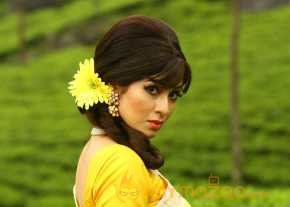 Sadha Beautiful Saree Pics photo 5
