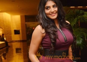 Sahasam Swasaga Sagipo Actress Manjima Mohan Photo Gallery photo 9