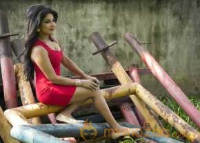  Sakshi Agarwal Portfolio Pics  photo 9