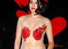  Sakshi Choudhary Photo Shoot On Transparent Red Dress  photo 3