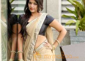 Samyuktha Saree Stills photo 2