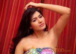 Sangeetha Photoshoot At Shourya Movie Audio Launch photo 6