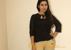 Satna Titus Bichagaadu Heroine Press Meet Photos photo 17