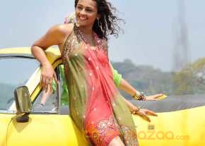 Seerat Kapoor photo 4