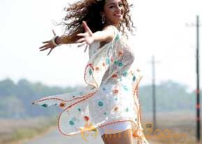 Seerat Kapoor photo 8