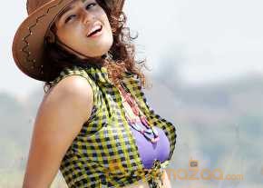 Seerat Kapoor photo 12